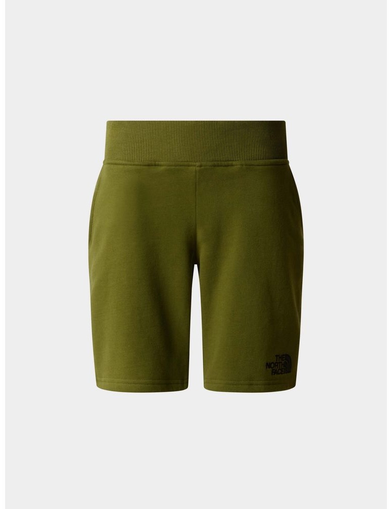 Спортивные шорты The North Face зеленый
