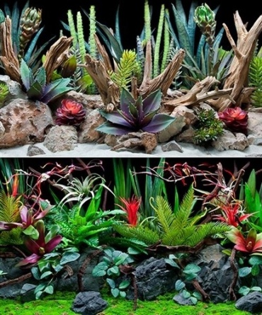 SeaView DEEP FLORA / DESERT DREAM 60х100 см пленочный фон 100 x 60