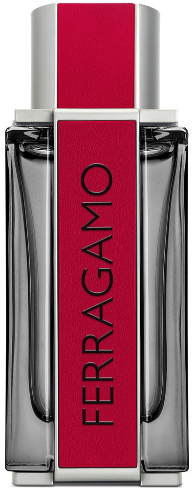 Ferragamo Red Leather парфюмерная вода EDP 100 мл, для мужчин