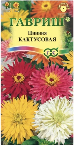 Цинния Кактусовая