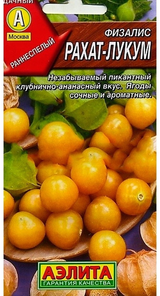 Аэлита физалис Рахат-Лукум