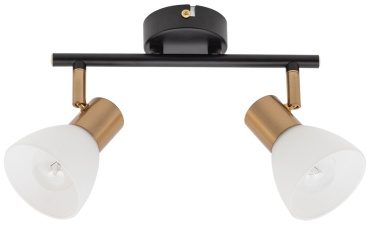 Arte Lamp спот FALENA A3117PL-2BK