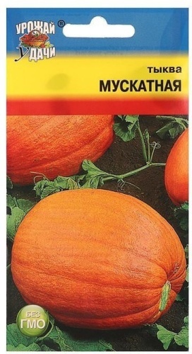 Урожай удачи тыква Мускатная