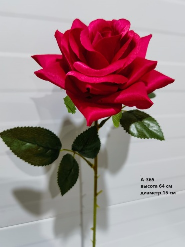 Фото 3