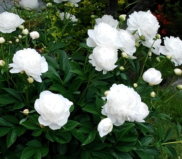 Фото 2