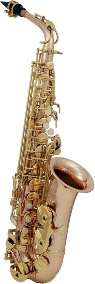 Саксофон Саксофон альт Roy Benson RB700613