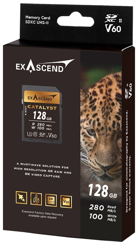 Карта памяти Exascend EX128GSDV60 128 Гб