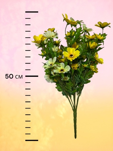 Фото 3