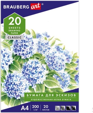 Папка Brauberg 129223 A4 20 листов