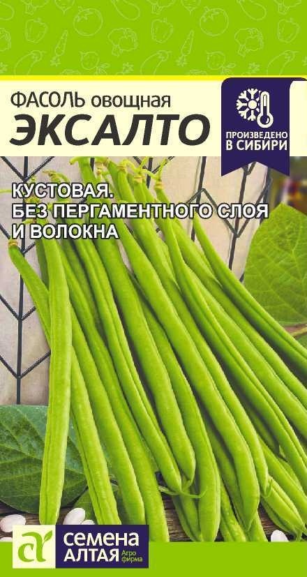 Семена Алтая фасоль Эксалто