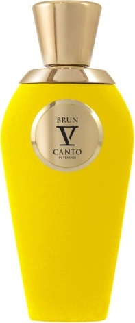 V Canto Brun экстракт духов Extrait de Parfum 100 мл, унисекс