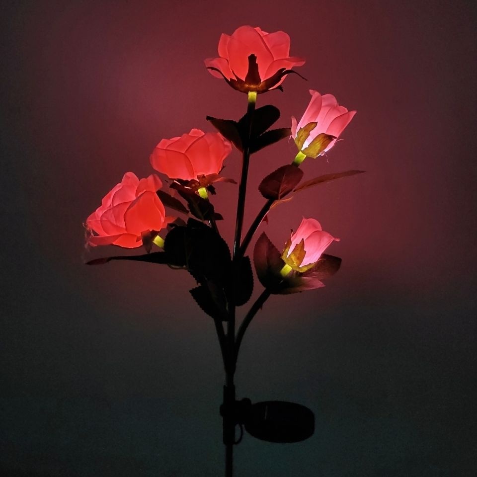 Фото 4