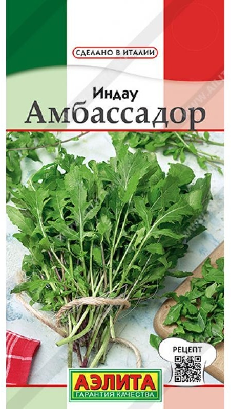 Аэлита индау Амбассадор