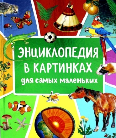 Л.Клюшник : Энциклопедия в картинках для самых маленьких