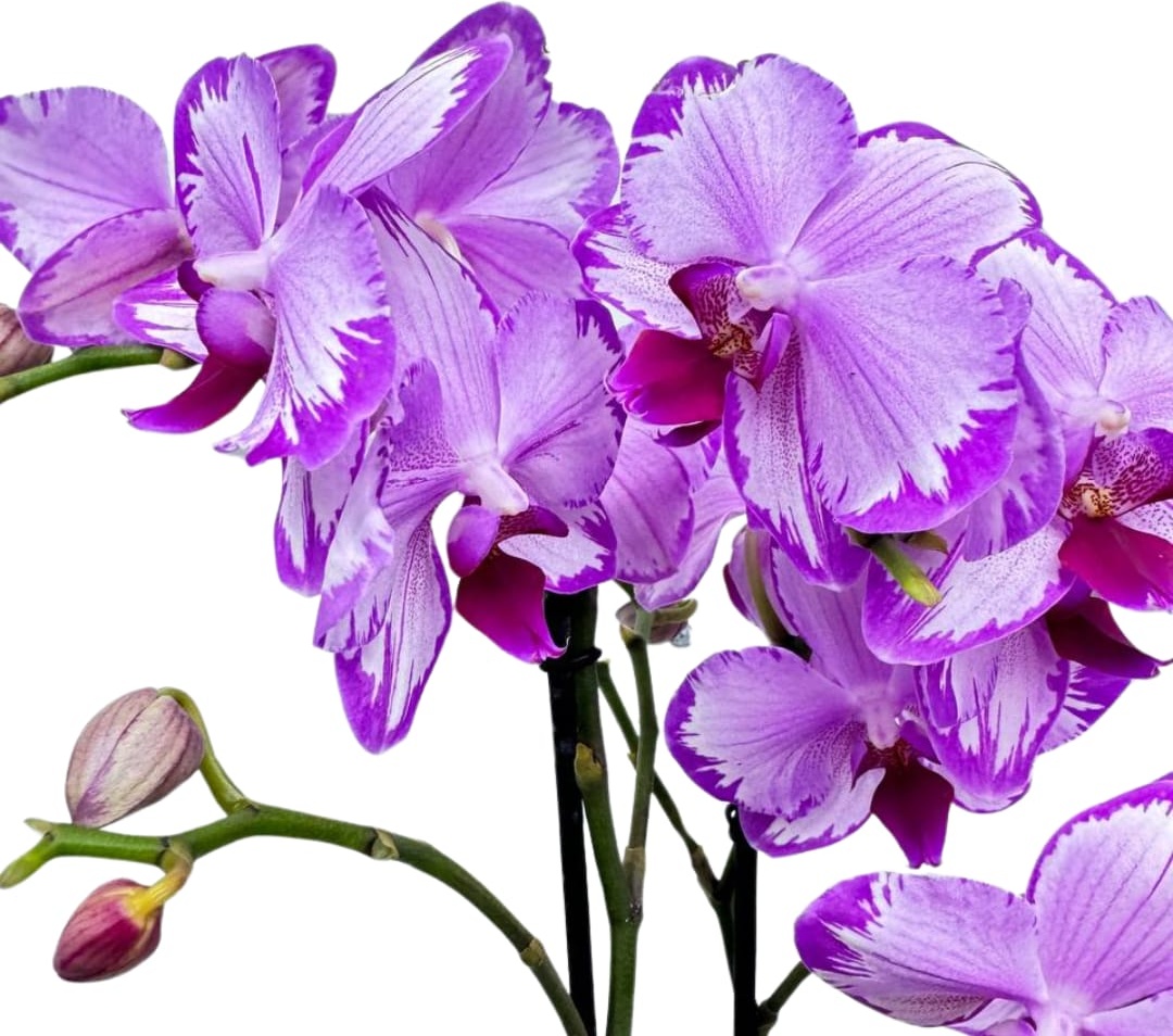 Фото 2