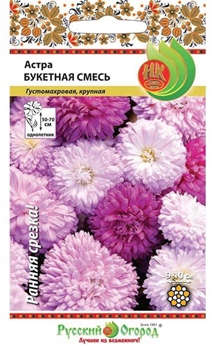 Русский огород астра Букетная