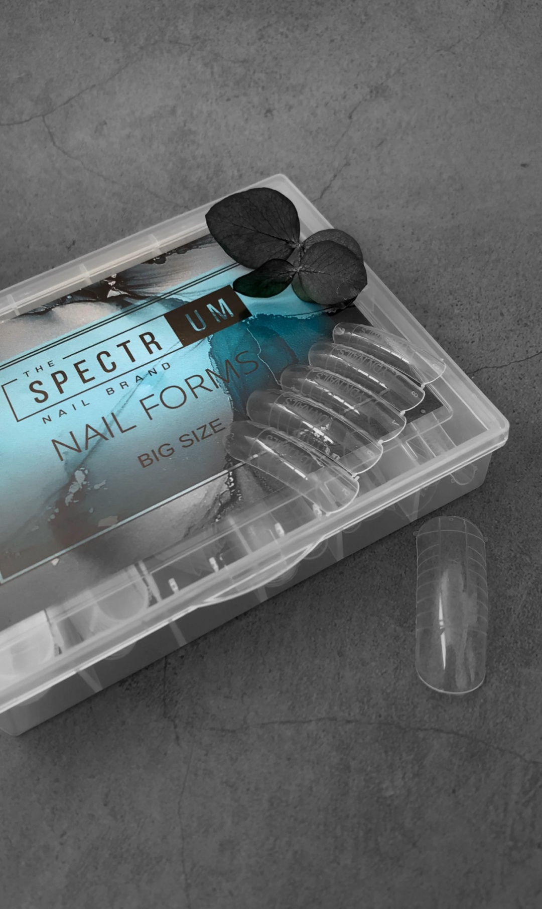 SPECTRUM верхние формы, многоразовые формы овал 120 шт