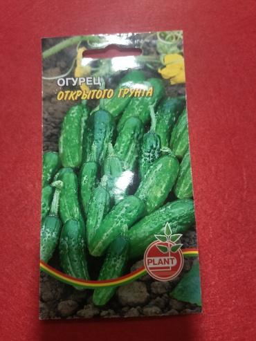 Plant огурец открытого грунта