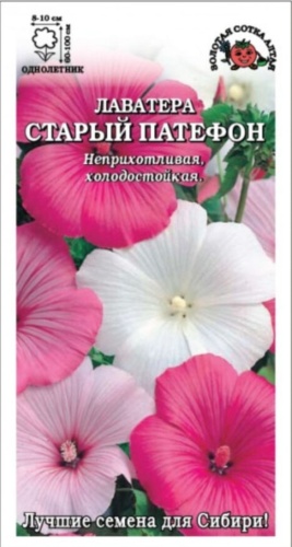 Золотая сотка Алтая лаватера Старый патефон
