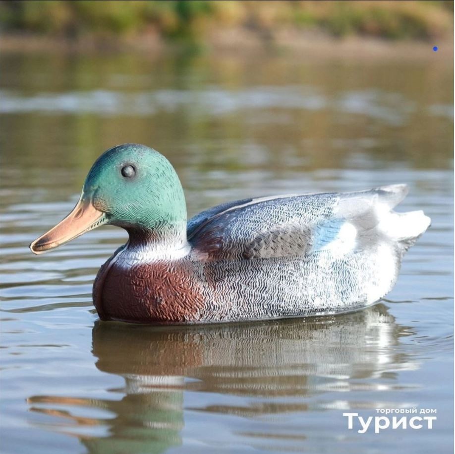 Чучело К74003 селезень