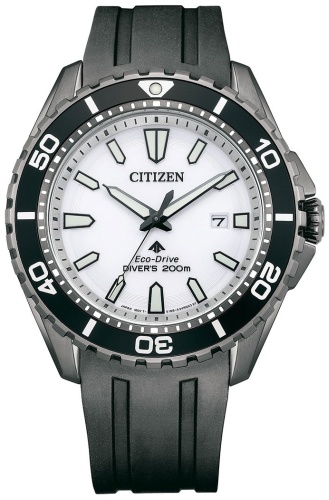 Кварцевые Citizen BN0197-08A сталь