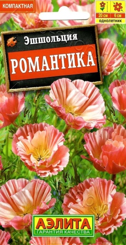 Аэлита Эшшольция Романтика