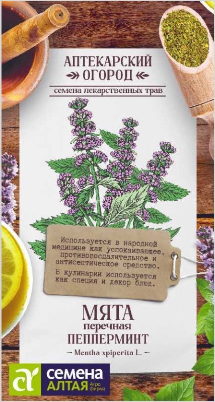 Семена Алтая мята Перечная Пепперминт