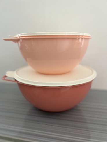 Набор мисок Tupperware 31х31 см, пластик, 2 шт