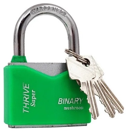 Замок навесной, английский BINARY 848998412, 75х50 мм
