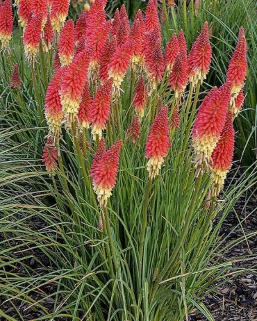 Фото 2