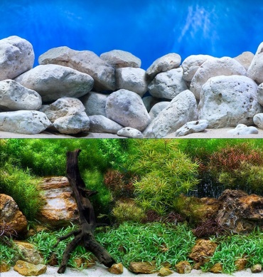 SeaView AQUA GARDEN / BRIGHTSTONE 61х100 см пленочный фон 100 x 61