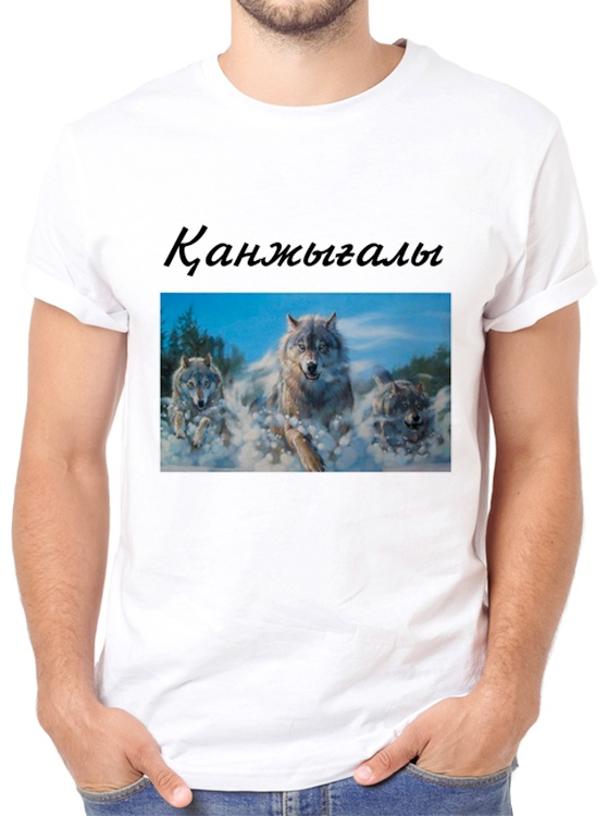 Футболка Футболка Канжыгалы белый