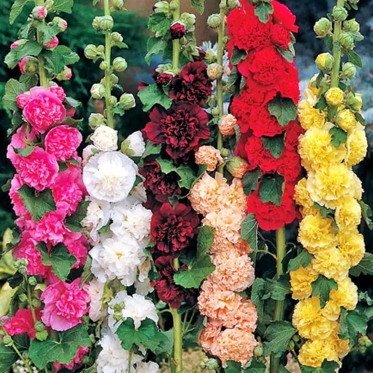 Фото 2