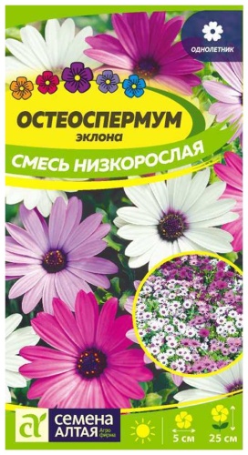 Семена Алтая Цветы Остеоспермум Смесь низкорослая