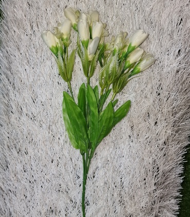 Фото 2