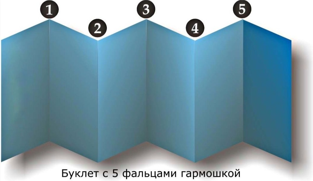 Канцелярский дом Папка буклет PT-00009307 синий