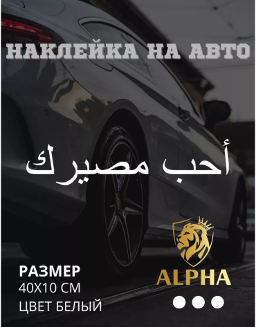 ALPHA 993575480 40x10 см