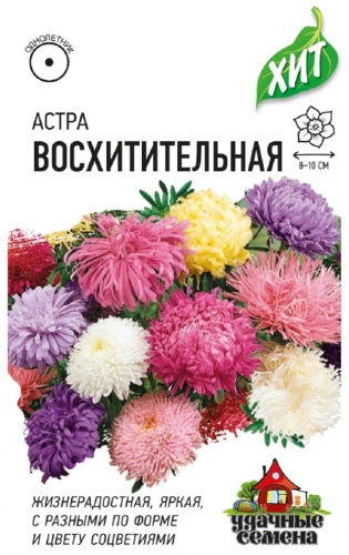 Гавриш астра Восхитительная