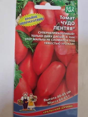 Уральский дачник томат Чудо лентяя