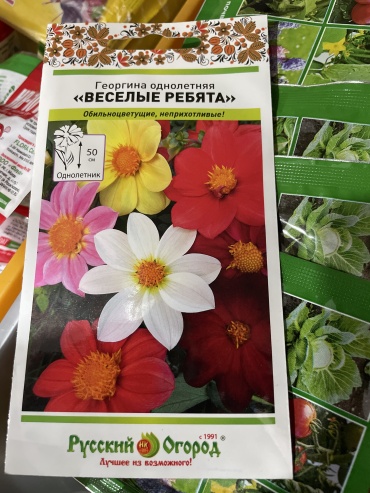 Русский огород георгина Веселые ребята