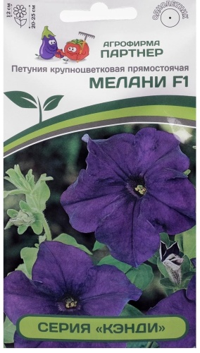 Партнер петуния Мелани