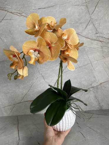 Фото 2