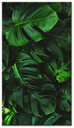 Торрина картина Листья мантессоры 50x90 см