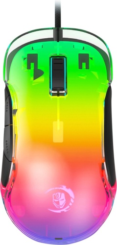 G 702 Хамелеон черный
