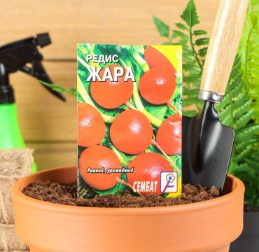 Сембат редис Жара