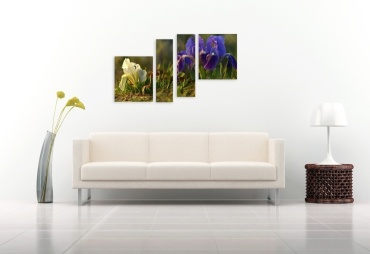 Фото 3