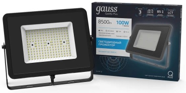 Прожектор на дуге крепления Gauss 100 Вт, холодный белый