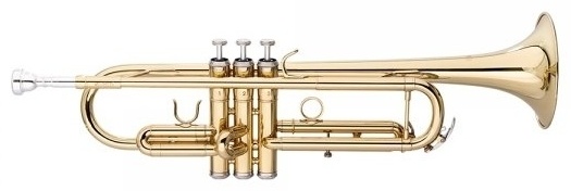 Труба Bb Stagg WS-TR115
