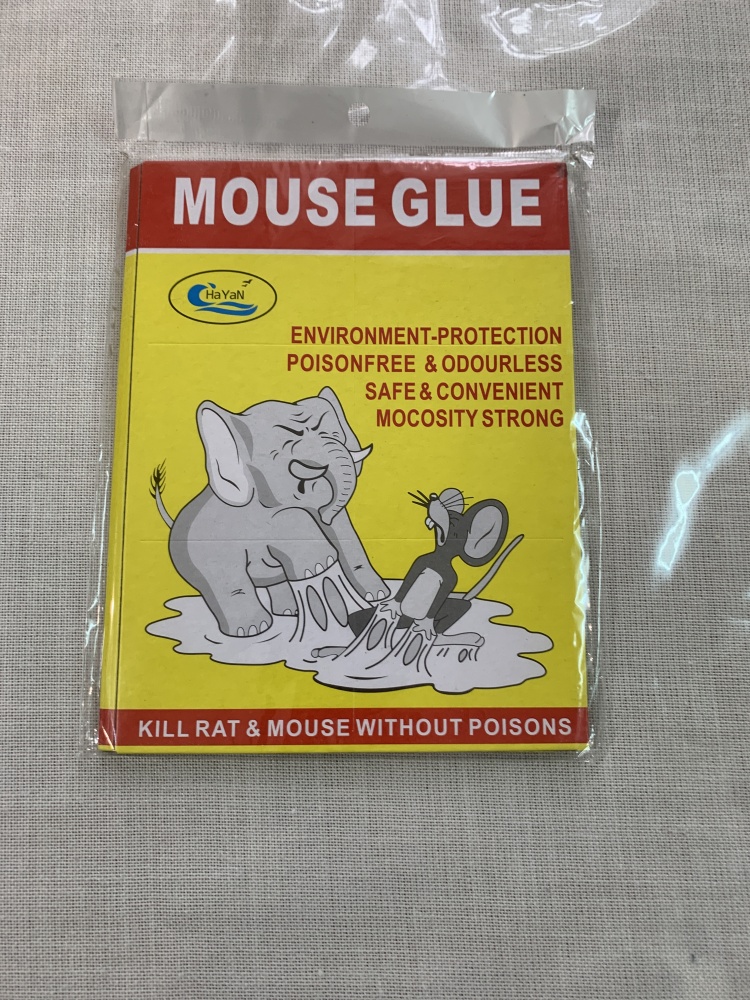 Простая, но эффективная ловушка для крыс и мышей