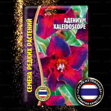 Григорьев адениум Адениум Kaleidoskope